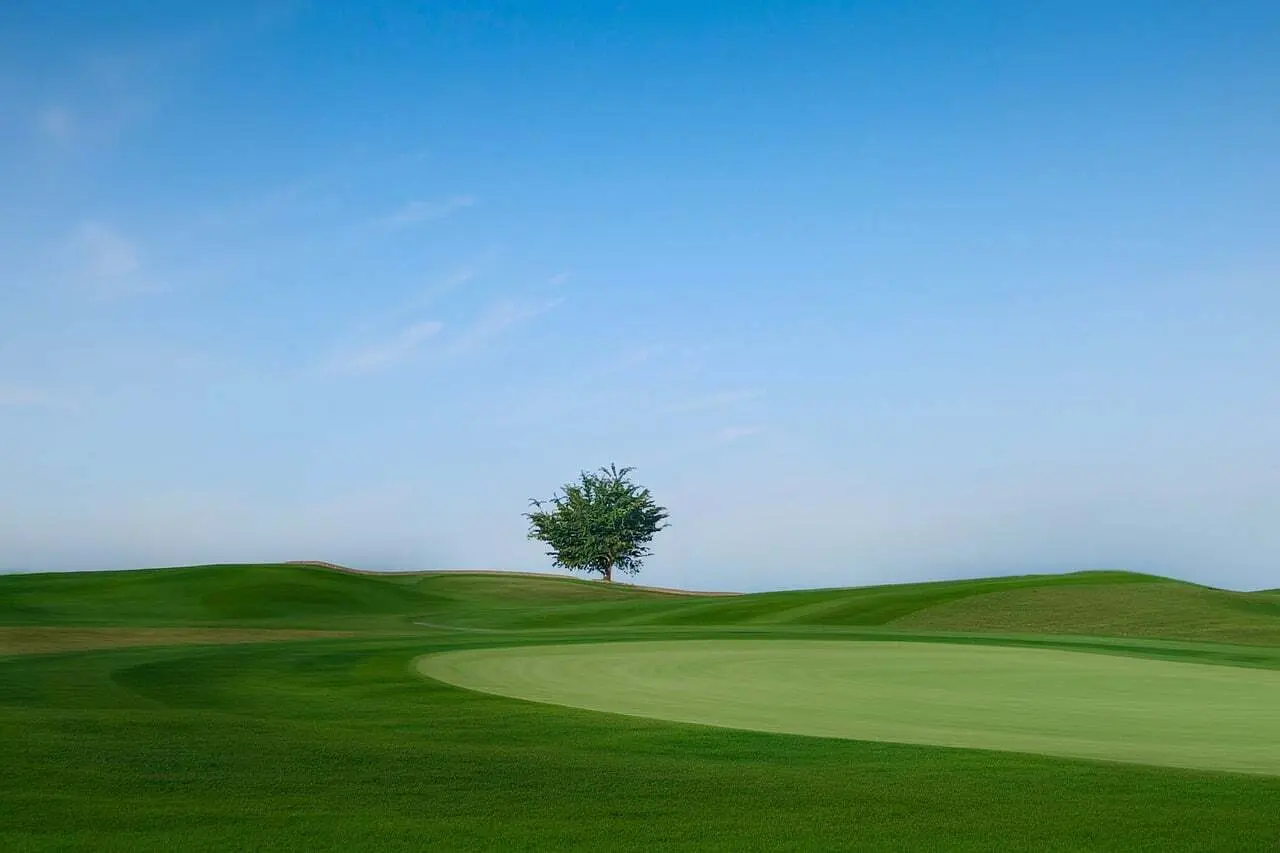 Golfgreen på en golfbane med et enkelt træ i horisonten